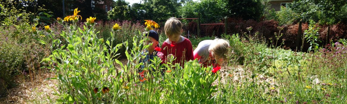 Garten der Kinderstube Brekendorf